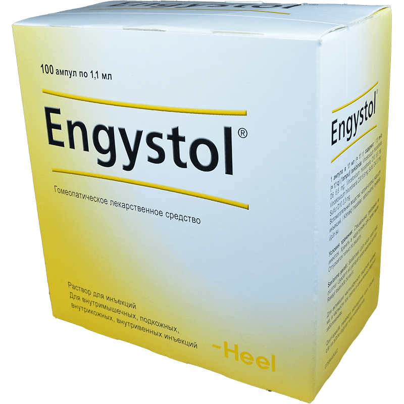 Engystol 5 əd. thumbnail