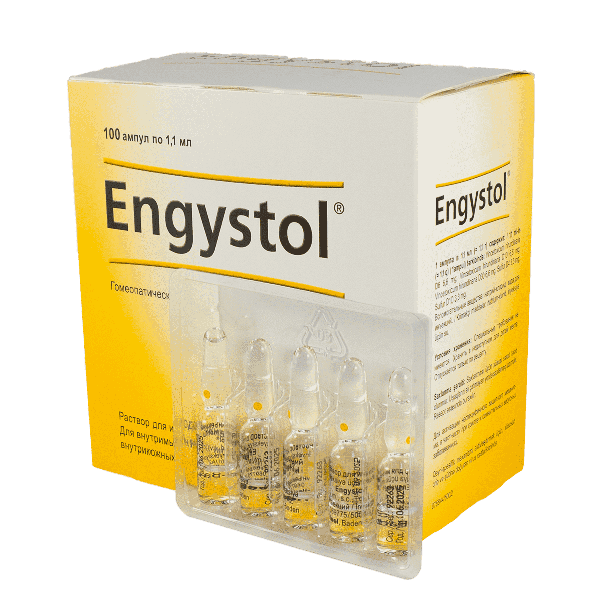 Engystol 5 əd. thumbnail