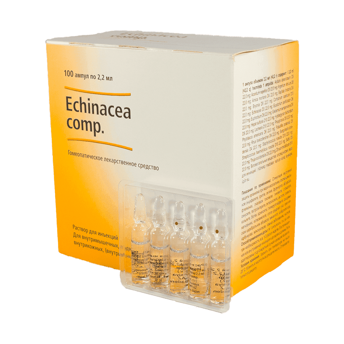 Echinacea compositum 5 əd. x 20 thumbnail