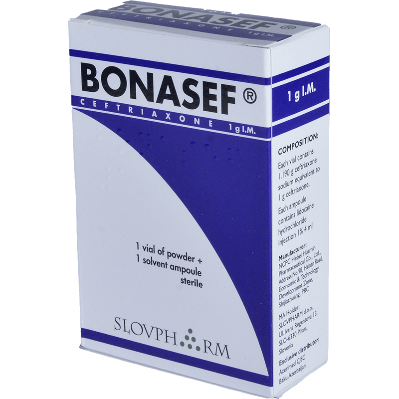 Bonasef 1 q 1 əd. thumbnail