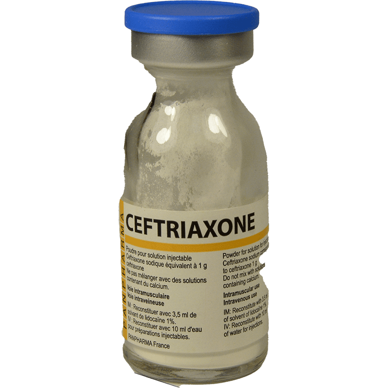 Pan-ceftriaxone 1 q thumbnail