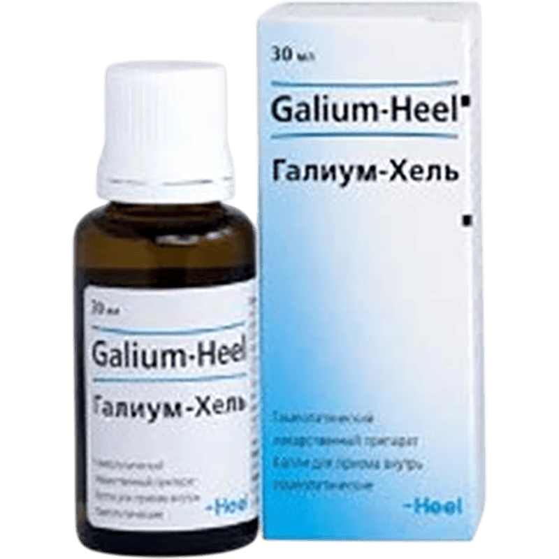 Galium-Heel 30 ml thumbnail