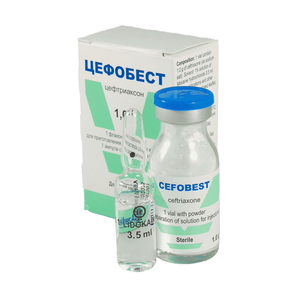 Cefobest 1000 mg1 əd. thumbnail