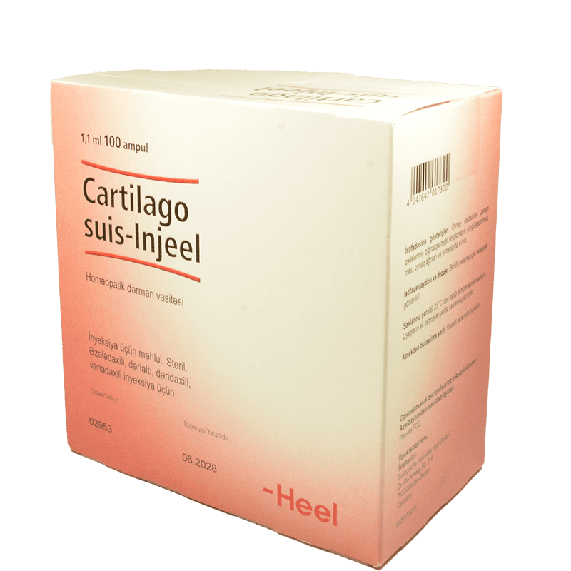Cartilago sius-injeel 5 əd thumbnail