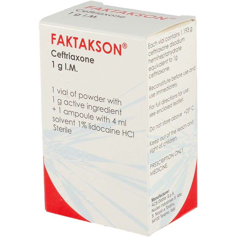 Faktakson 1 q 1 əd. thumbnail